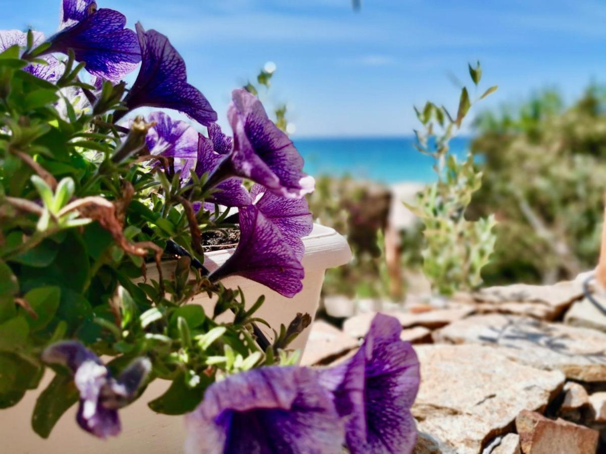 Beachfront House Geremeas Sardegna公寓 外观 照片